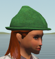 Green foresters wool hat