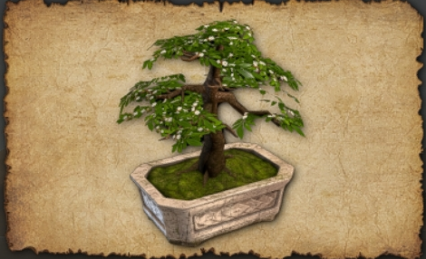 March 2023 Small cherry tree (Marble planter) A tiny cherry tree in perpetual bloom. Lovely!