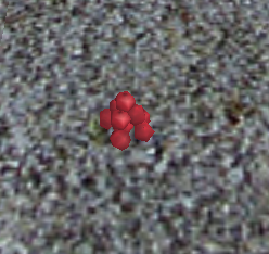 Lingonberry.png