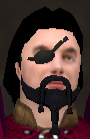 File:Eye patch.png