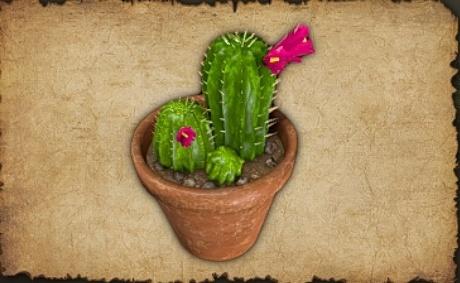 June 2022 Cactus Skin (Pottery planter) Yowch! Why, you little...