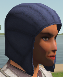 Blue squire wool cap