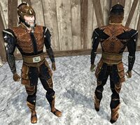 A male player wearing a full set of black drake hide armour.