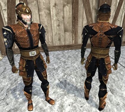 Black drake hide armour