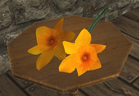 A Bouquet of orange-red flowers