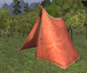 Starter tent.jpg