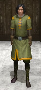 Green clothes: Green cloth tunic, green cloth sleeves green cloth pants
