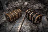 A Sturdy large chest skin