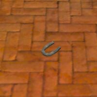 A Horse shoe