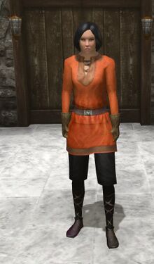 Red clothes: Red cloth tunic, red cloth sleeves