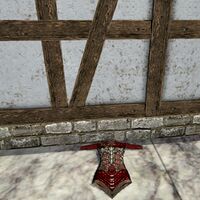 A Dragon scale jacket