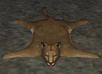 A Mountain lion rug
