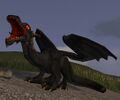 A black dragon