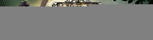 Download the Wurm Client from the Home page