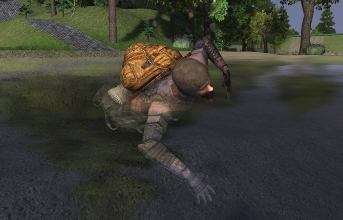 A Lovely Day for a Swim