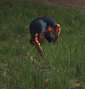 A player foraging on a grass tile