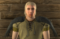 A Black-winged shoulder pad