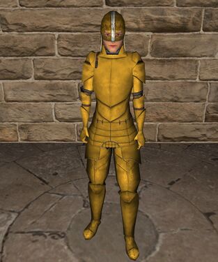 Gold plate armour with open helm