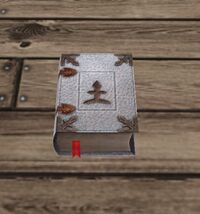 A White tome of magic