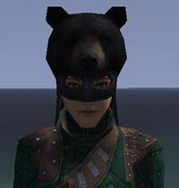 A Black bear helm