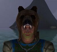 A Brown bear helm