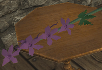 A Bouquet of purple flowers