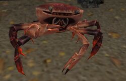 A Crab