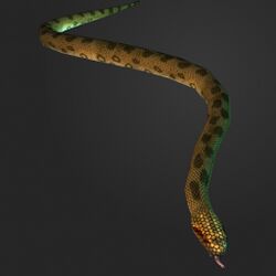A Anaconda