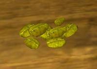 A Green coffee beans