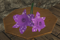 A Bouquet of white-dotted flowers